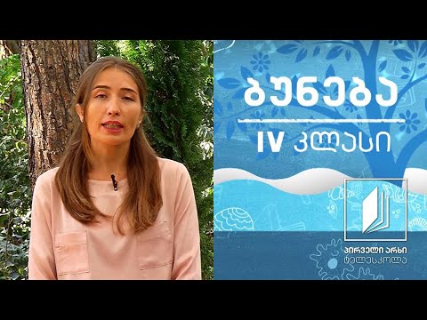 ბუნება, IV კლასი - რა არის ორიენტირება; როგორ გავიგნოთ გზა #ტელესკოლა